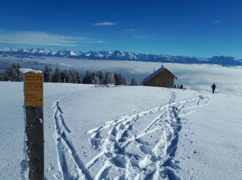 Tour Schneeschuhwandern Engins - Le Plateau de Sornin et La Dent du Loup - Photo