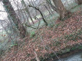 Excursión Senderismo Mont-Saint-Guibert - Mont-Saint-Guibert 09 01 2018 Nathalie Demain - Photo