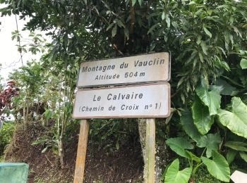 Tour Andere Aktivitäten Le Vauclin - Reco boucle montagne du Vauclin  - Photo