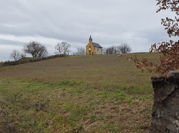 Tour Wandern Lentilly - Chapelle2Lentilly - Photo
