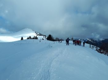 Tour Schneeschuhwandern Sarcenas - Les Crêtes du Mont Fromage - Photo