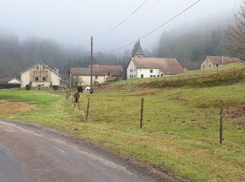 Tour Wandern Beulotte-Saint-Laurent - Beulotte Saint-Laurent - Photo