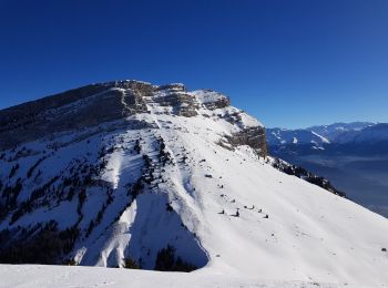 Randonnée Autre activité Plateau-des-Petites-Roches - Roc d'Arguille  - Photo