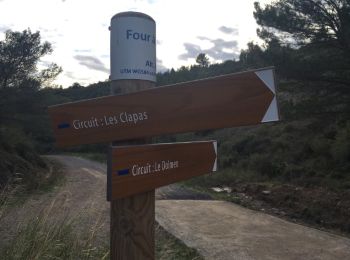 Trail Walking Saint-Chinian - Les Capitelles - Photo