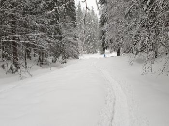 Excursión Raquetas de nieve Bois-d'Amont - Chalet Gaillard Bois d'Amont  - Photo