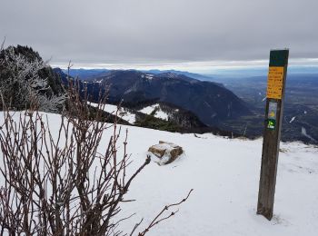 Trail Snowshoes Autrans-Méaudre en Vercors - Le Signal de Nave - Photo