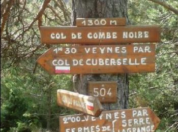 Trail Walking Veynes - R52   Le col de Cuberselle - Photo