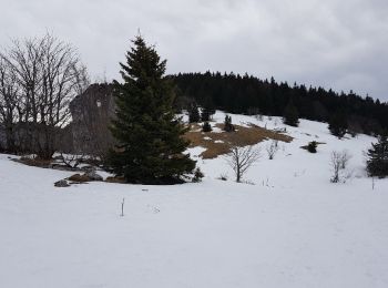 Trail Snowshoes Autrans-Méaudre en Vercors - Boucle Gève, Le Bec de l 'Orient, Le Pas de la Clé, depuis La Sure  - Photo