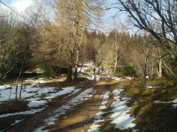 Trail Walking Buhl - Rimbach (25-01-2018) - Photo