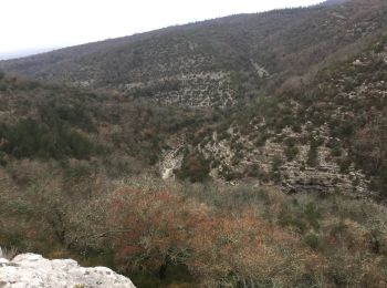 Tour Wandern Lussas - canyon de la Louyre  Ardèche 07 Janvier 2018  - Photo