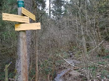 Trail Walking Lamure-sur-Azergues - Reco rando La Mure sur Azergue - Photo