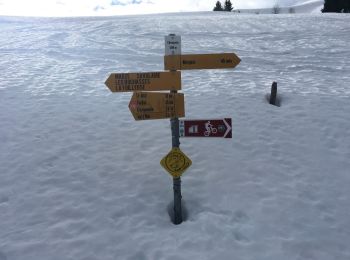 Randonnée Raquettes à neige Troistorrents - Foilleuse - Madzé - Savolaire - Champarin - Morgins - raq  - Photo