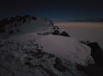 Randonnée Raquettes à neige Lans-en-Vercors - La Crête des Ramées de nuit en raquettes (2018) - Photo