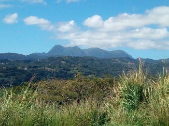 Tour Wandern Gros-Morne - 1er Jet MARCHE ROYAL 2018 - Photo