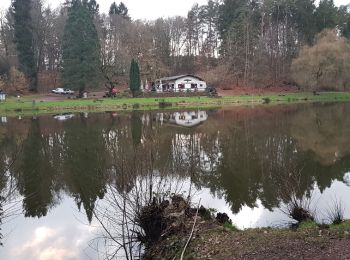 Tocht Stappen Homburg - schlossbergtour homburg - Photo