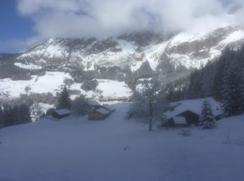 Tour Schneeschuhwandern Abondance - Les Carres - les Ouyes - le Chon - la Plagne - les Ogays - les Carres - raq  - Photo