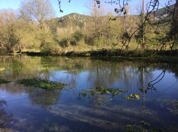 Trail Walking Saint-Jean-de-Buèges - le cirque de la se´ranne herault 2017 - Photo