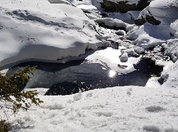 Percorso Racchette da neve San Martino Lantosca - vallee du boreon - Photo