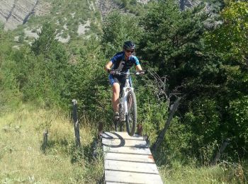 Trail Mountain bike La Roche-des-Arnauds - VTT11 - La rando du facteur - Photo