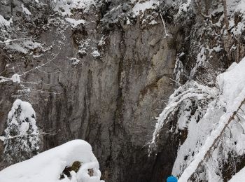 Randonnée Raquettes à neige Corrençon-en-Vercors - Corrençon - Baraque de Malaterre - Circuits 6+2+6 - Photo