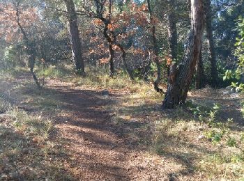 Trail Walking Pierrevert - la pinède - Photo