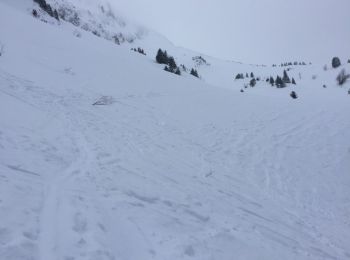 Randonnée Raquettes à neige Bellevaux - Rando ski  Combe suspendue et col du  Graydon  - Photo