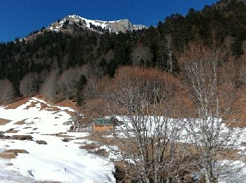 Tour Schneeschuhwandern Ferrère - 2017-02-26 fontaine d,artigue - Ferrer -barousse - Photo