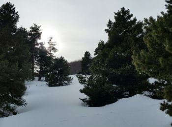 Randonnée Raquettes à neige Châtillon-en-Diois - 2018-02-13 Vallon de  Combau  - Photo