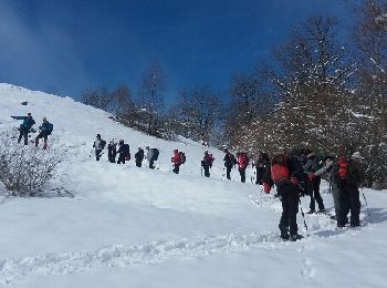 Excursión Raquetas de nieve Arrens-Marsous - arrens les granges de Berbeillet-fait - Photo