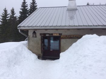 Randonnée Raquettes à neige Bois-d'Amont - bois d'amont - chalet Gaillard  - Photo