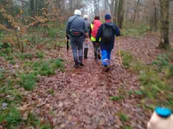Trail Walking Montigny - Montigny - Photo