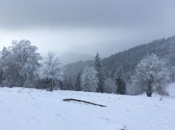 Trail Walking Soultz-Haut-Rhin - Marche du 21 Février 18 - Photo