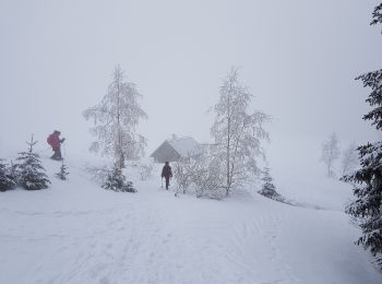 Randonnée Raquettes à neige La Morte - Belvedere et Balcon de La Romanche - Photo