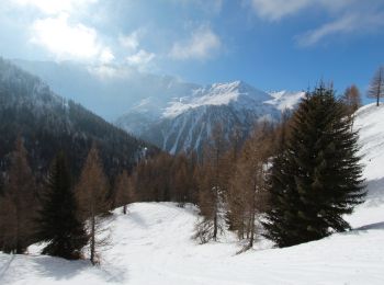 Tour Schneeschuhwandern Peisey-Nancroix - Le sanctuaire des Vernettes - Photo