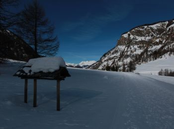 Excursión Raquetas de nieve Peisey-Nancroix - Autour de Rosuel - Photo