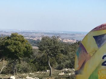 Tour Wandern Mireval - les balcons de la Gardiole - Photo