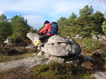 Randonnée Marche Arbonne-la-Forêt - SVG 171115 - Photo