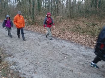 Trail Walking Larchant - 180303 EnCours - Photo