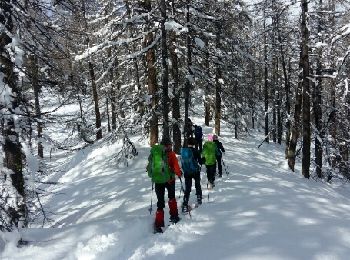 Excursión Raquetas de nieve Arvieux - Queyras étape 2 - Photo
