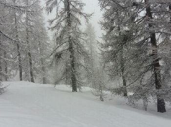 Randonnée Raquettes à neige Molines-en-Queyras - Queyras étape 4 - Photo