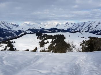 Tour Schneeschuhwandern Manigod - croix de colonban croix de fry - Photo