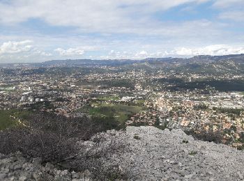 Tour Wandern La Penne-sur-Huveaune - les candolles - Photo