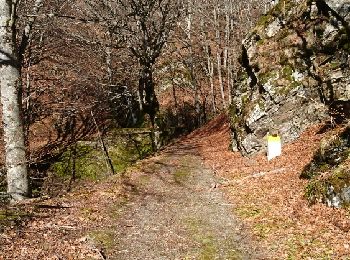 Trail Walking Meyrueis - Cabrillac  - Photo