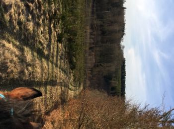 Excursión Caballo Léglise - Traimont - La Potence - Photo