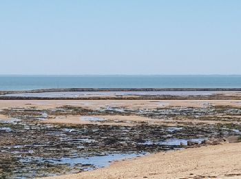 Tour Wandern Les Portes-en-Ré - rando trousse chemise - Photo