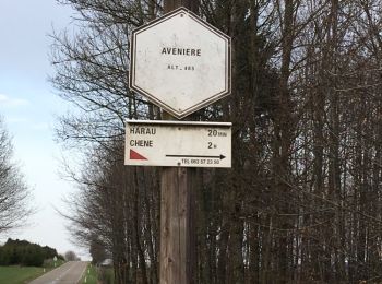 Tour Pferd Léglise - Traimont Avenière - Photo