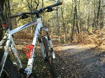 Trail Mountain bike Béthemont-la-Forêt - souvenirs  - Photo
