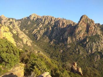 Trail Walking Ota - Corse 2018 sentier des gorges - Photo