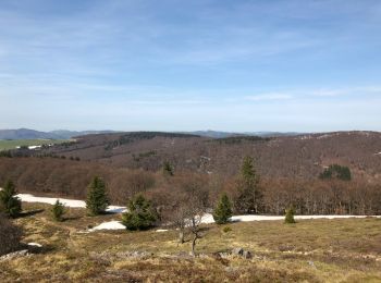 Tour Wandern Stoßweier - journée 2 plus un bout de la journée 3 du 21 avril 2018 - Photo