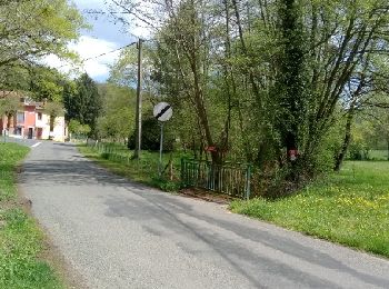 Randonnée Marche Puy-Guillaume - La Cardogne - Photo